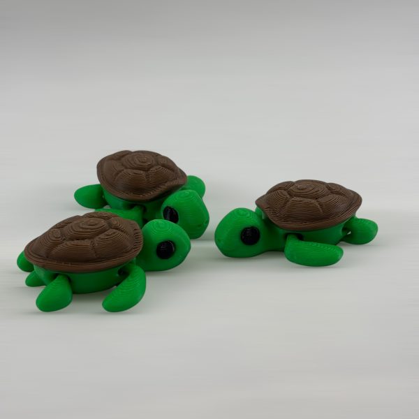 TORTUGA - Imagen 2