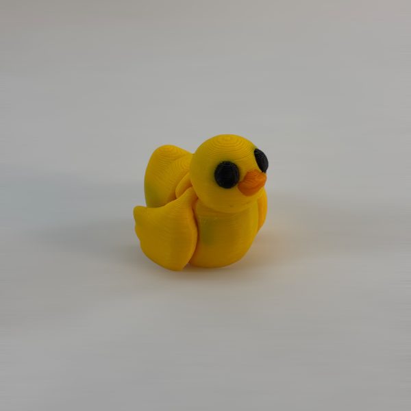 PATO - Imagen 3