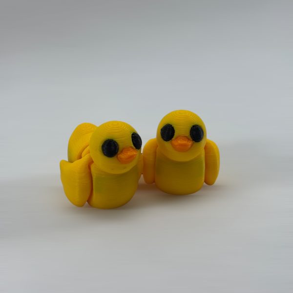 PATO - Imagen 2