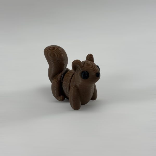 ARDILLA - Imagen 3