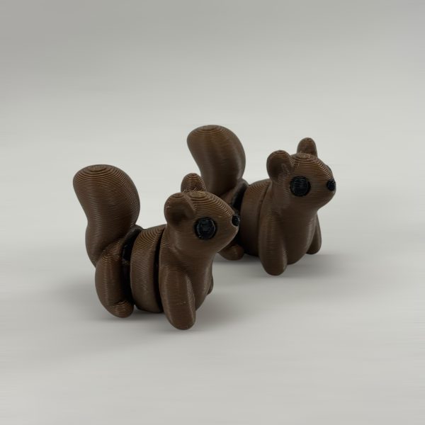 ARDILLA - Imagen 2