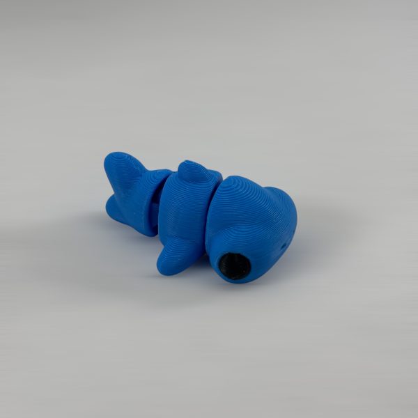TIBURON MARTILLO - Imagen 3