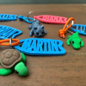 Llavero "NAMETAG" Tabla de Surf